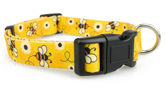 Bees Dog Collar - 1 - Limeloot