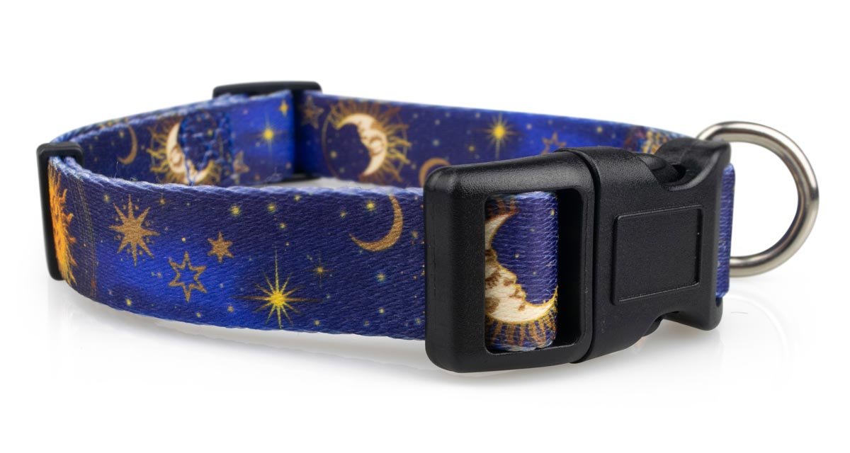 Celestial Moon Dog Collar - 1 - Limeloot