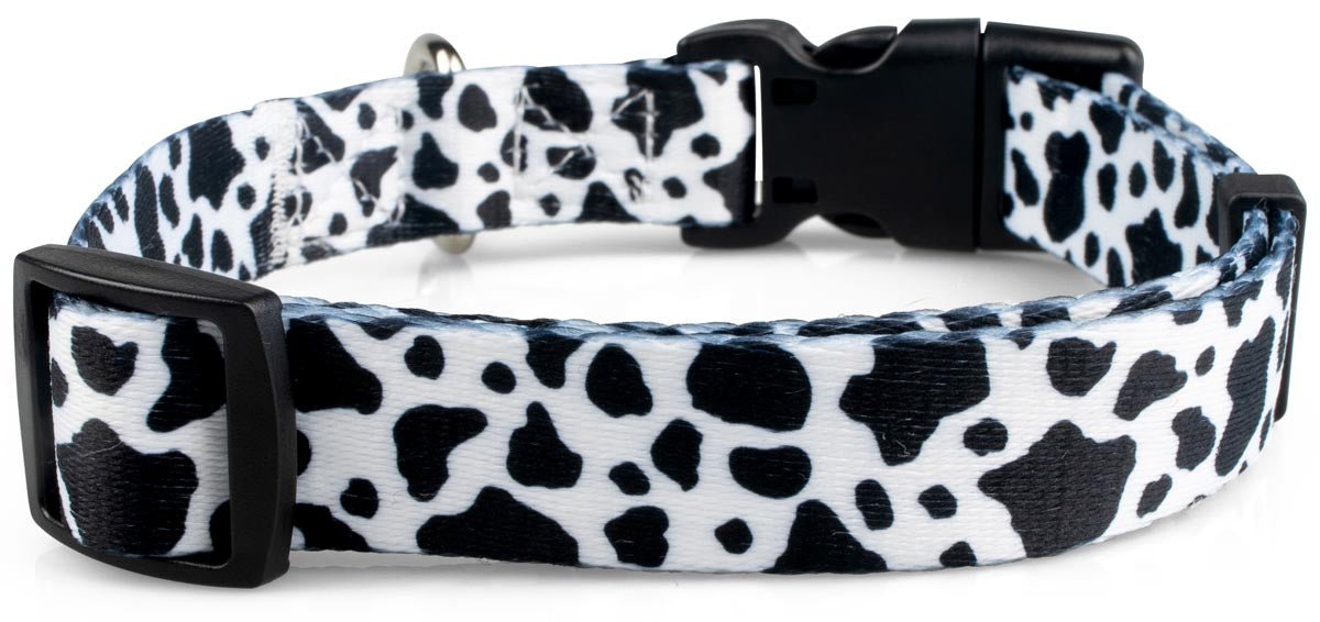 Cow Print Dog Collar - 2 - Limeloot