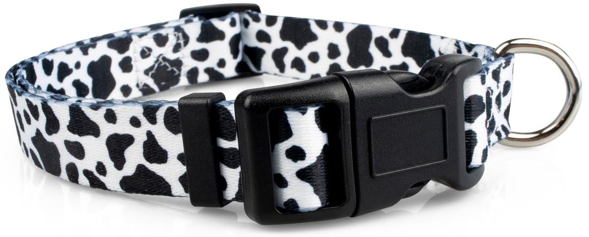 Cow Print Dog Collar - 1 - Limeloot