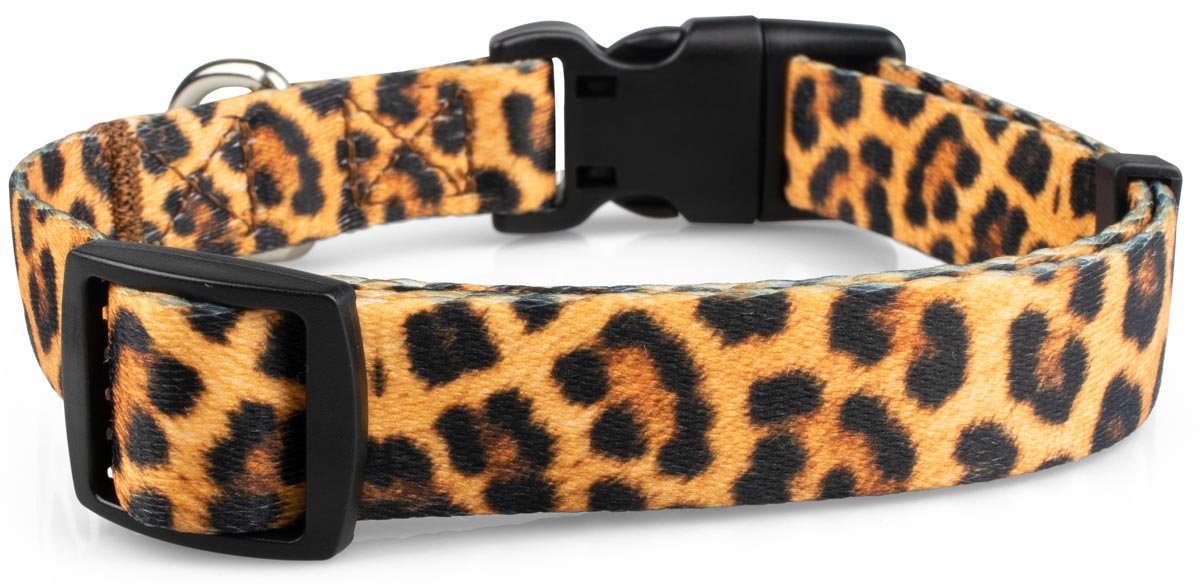 Leopard Print Dog Collar - 2 - Limeloot