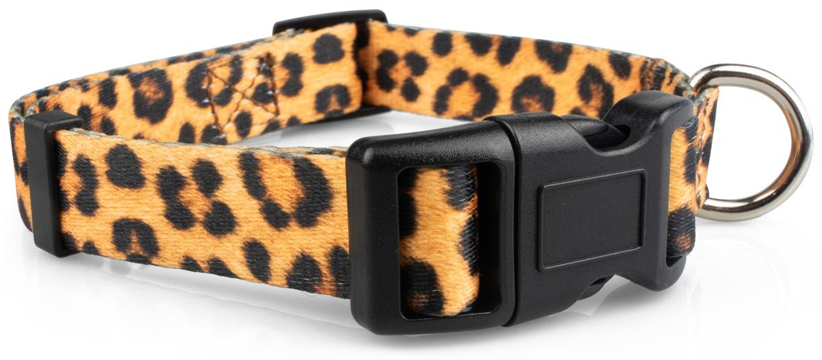 Leopard Print Dog Collar - 1 - Limeloot