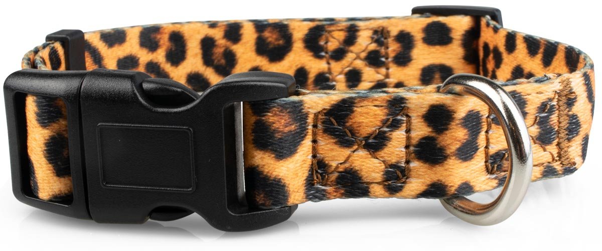 Leopard Print Dog Collar - 3 - Limeloot