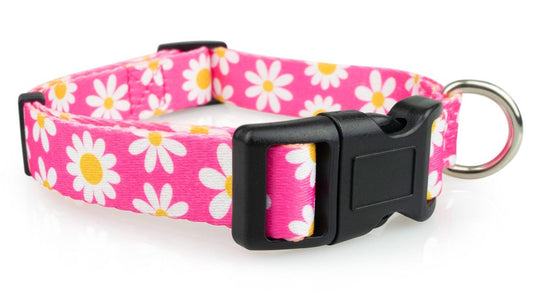 Pink Daisy Dog Collar - 1 - Limeloot