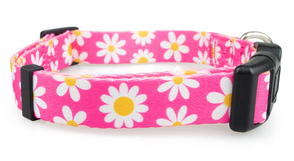 Pink Daisy Dog Collar - 3 - Limeloot