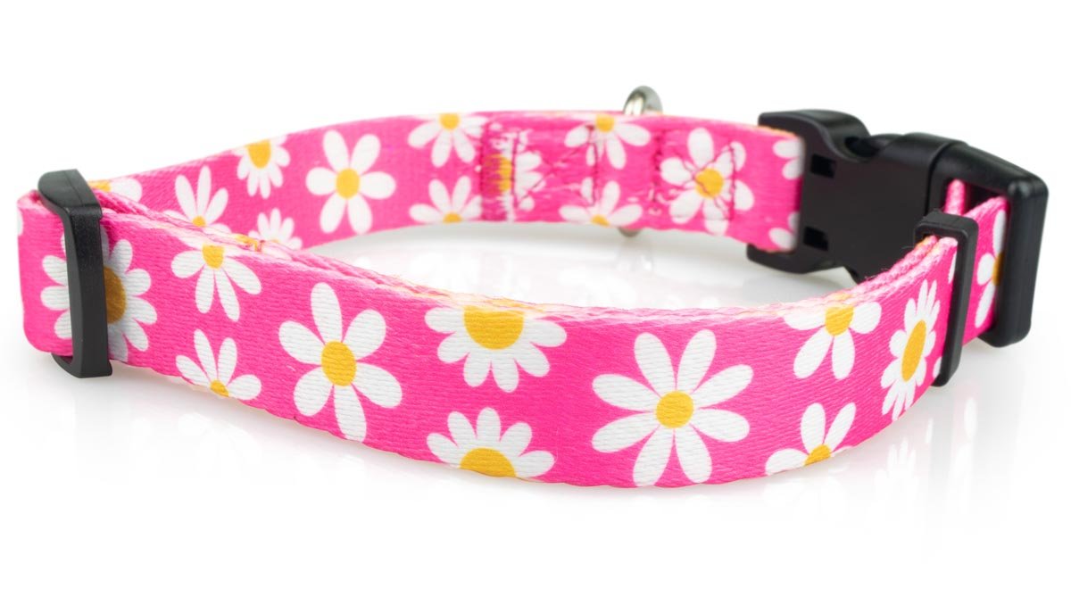 Pink Daisy Dog Collar - 2 - Limeloot