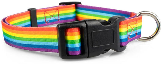 Rainbow Dog Collar - 1 - Limeloot