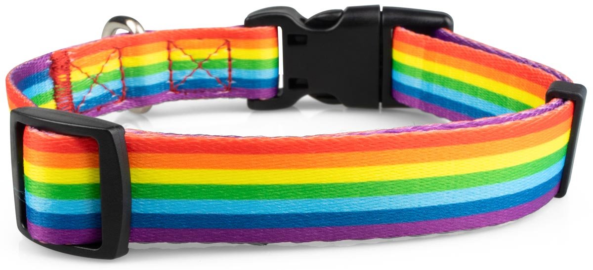 Rainbow Dog Collar - 2 - Limeloot