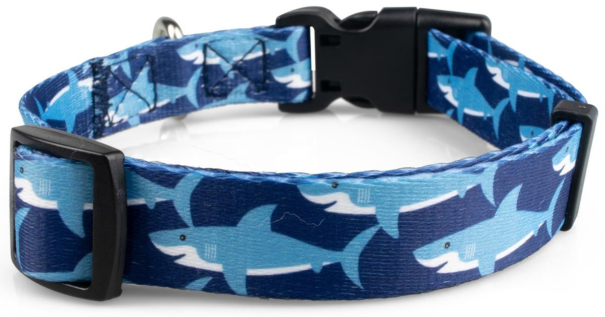 Sharks Dog Collar - 3 - Limeloot