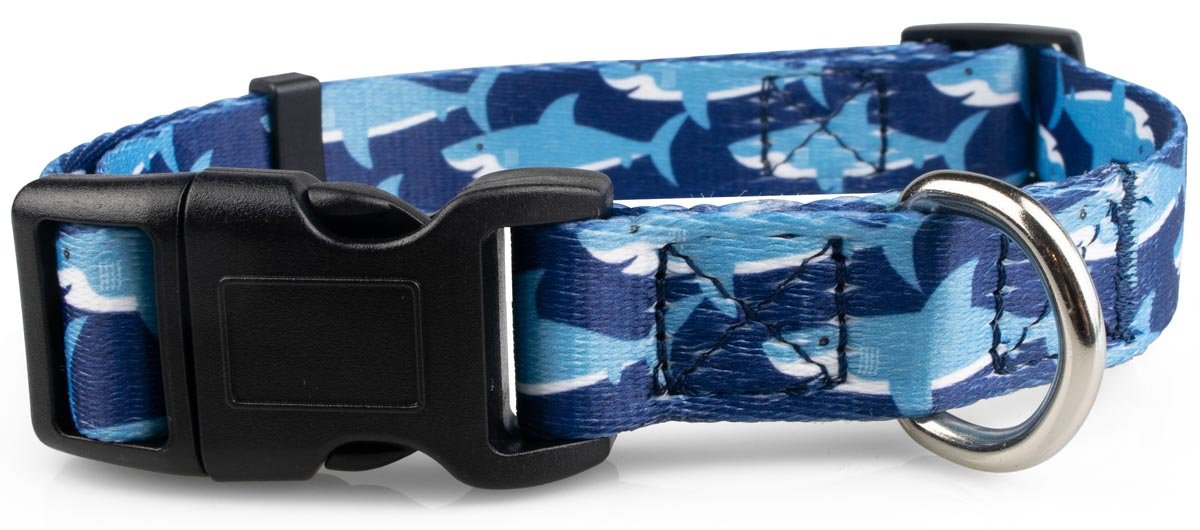 Sharks Dog Collar - 2 - Limeloot