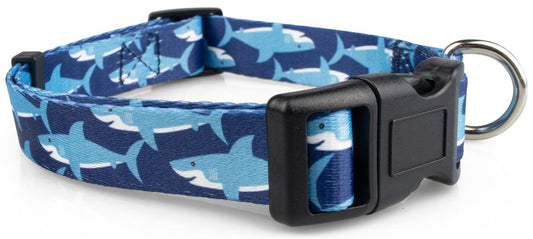 Sharks Dog Collar - 1 - Limeloot