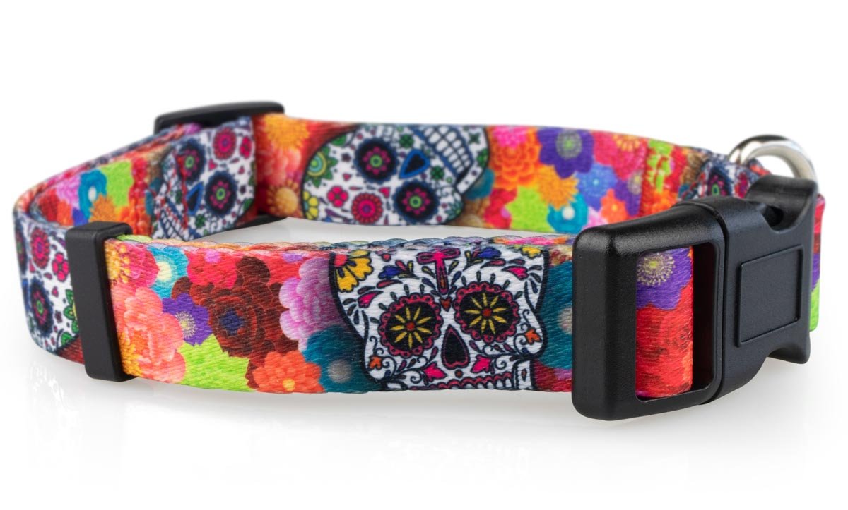 Sugar Skulls Dog Collar - 1 - Limeloot