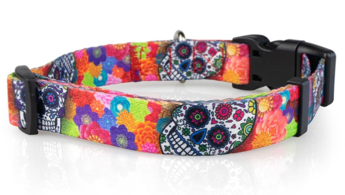 Sugar Skulls Dog Collar - 3 - Limeloot