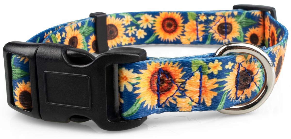 Sunflowers Dog Collar - 3 - Limeloot